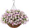 Silk Flower Hanging Basket: Lifelike Artificial Flowers in Coconut Lined Pot
